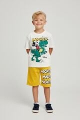 Erkek Çocuk Özel Karakter Baskılı Yazlık Şortlu Takım SARI 11-12 Yaş