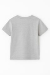 LABUBU Karakter Baskılı Çocuk Tişörtü Pamuklu, Renkli Seçenekli Erkek Yazlık Kısa Kollu T-Shirt GRİ - 3-4 Yaş